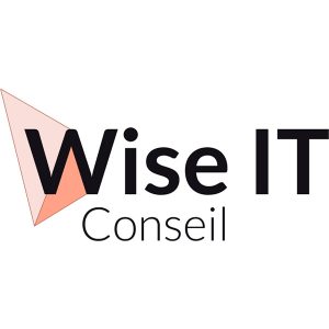 wise-it-conseil-logo