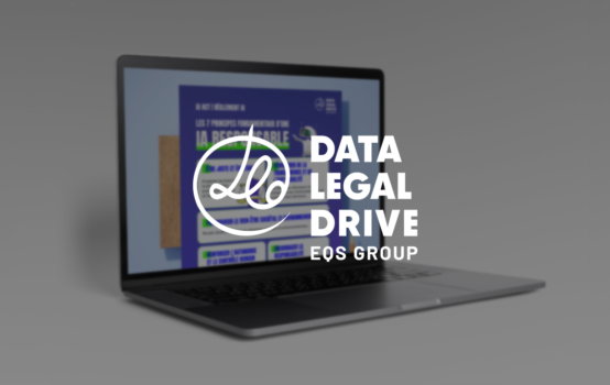 Aperçu de l'infographie en fond sur l'écran d'un ordinateur avec le logo de Data Legal Drive en premier plan